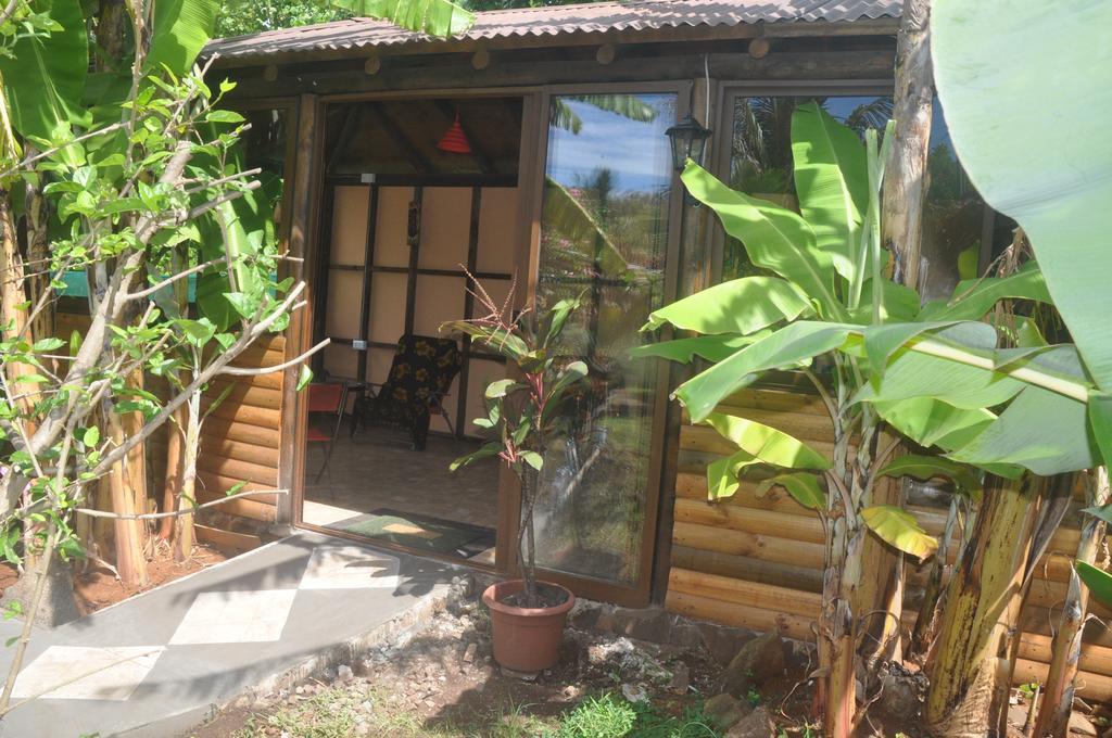 فندق هانجا روافي  Cabanas Anakena المظهر الخارجي الصورة
